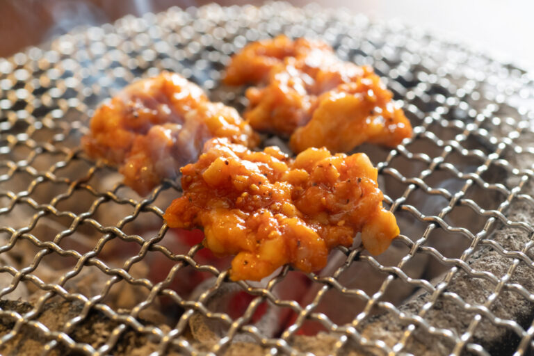 炭蔵 飯田橋店 ホルモン焼き写真